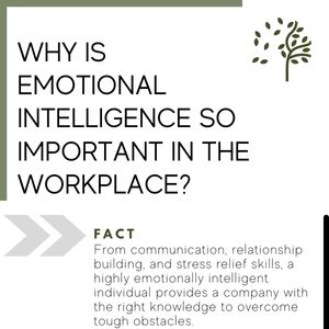 Why is emotional intelligence so important in the workplace